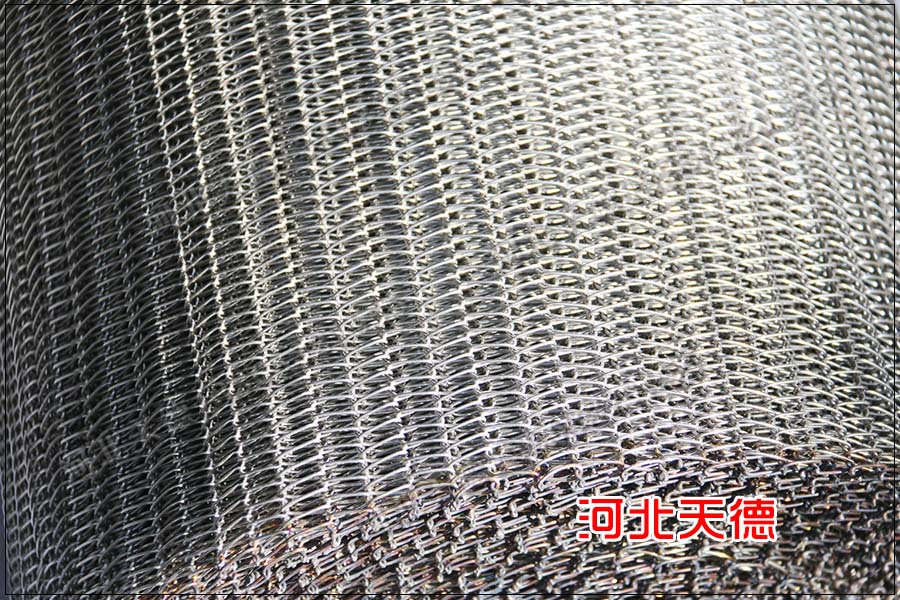 鏈條不銹鋼網帶